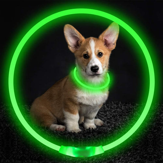 Pet Flashing USB Rechargeable Safety Collar