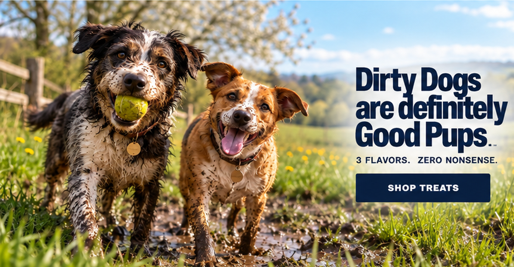 Two happy muddy rescue dogs playing in a spring field